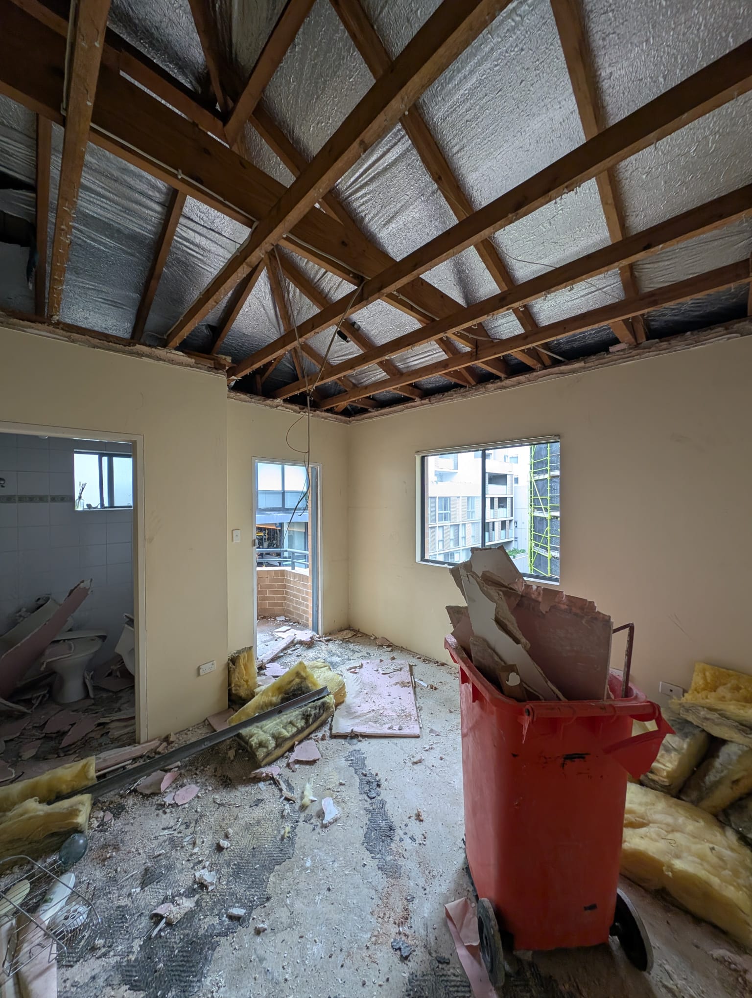 Insulation Removal